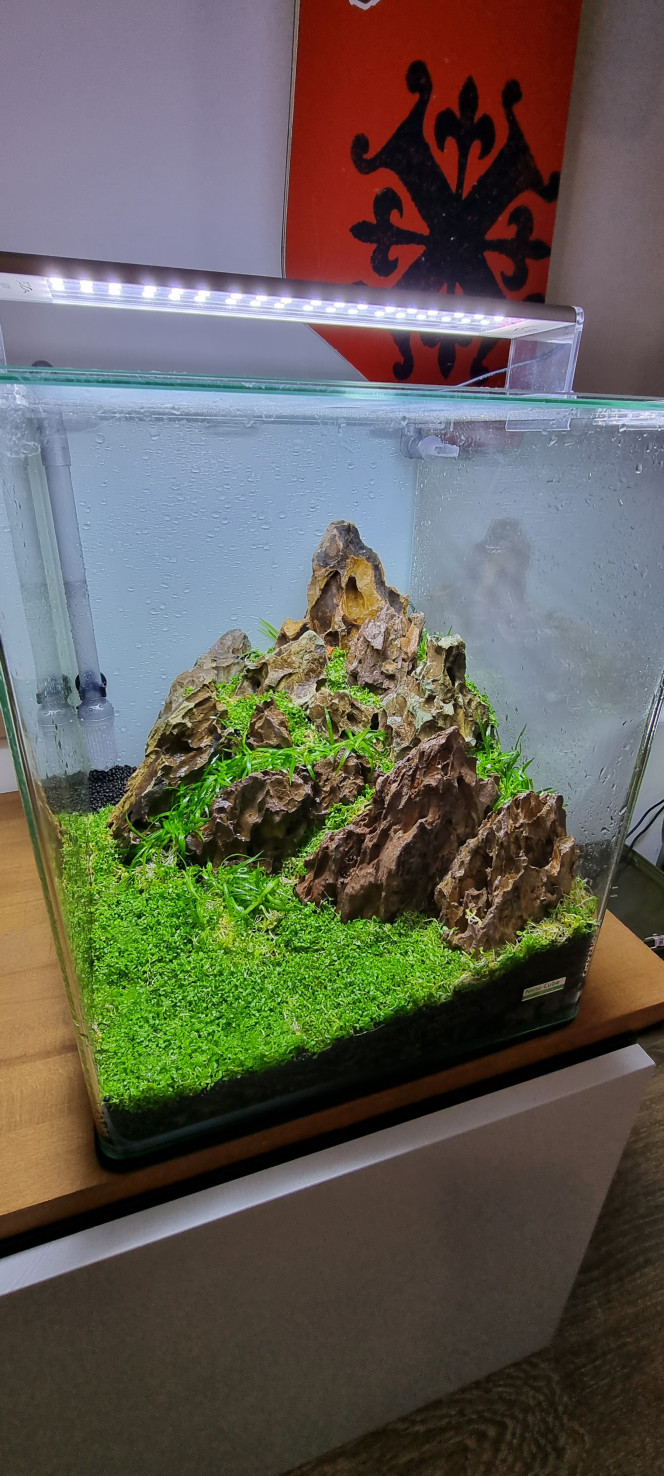 Hardscape 30l Voilà petit montage d'un aquarium Dennerle 30 l constitué de pierre du dragon et de sol technique avec un renfort bactérien avec de la pouzzolane en dessous des pierres avec un assemblage colle forte et filtre à cigarette et tampon à démaquiller