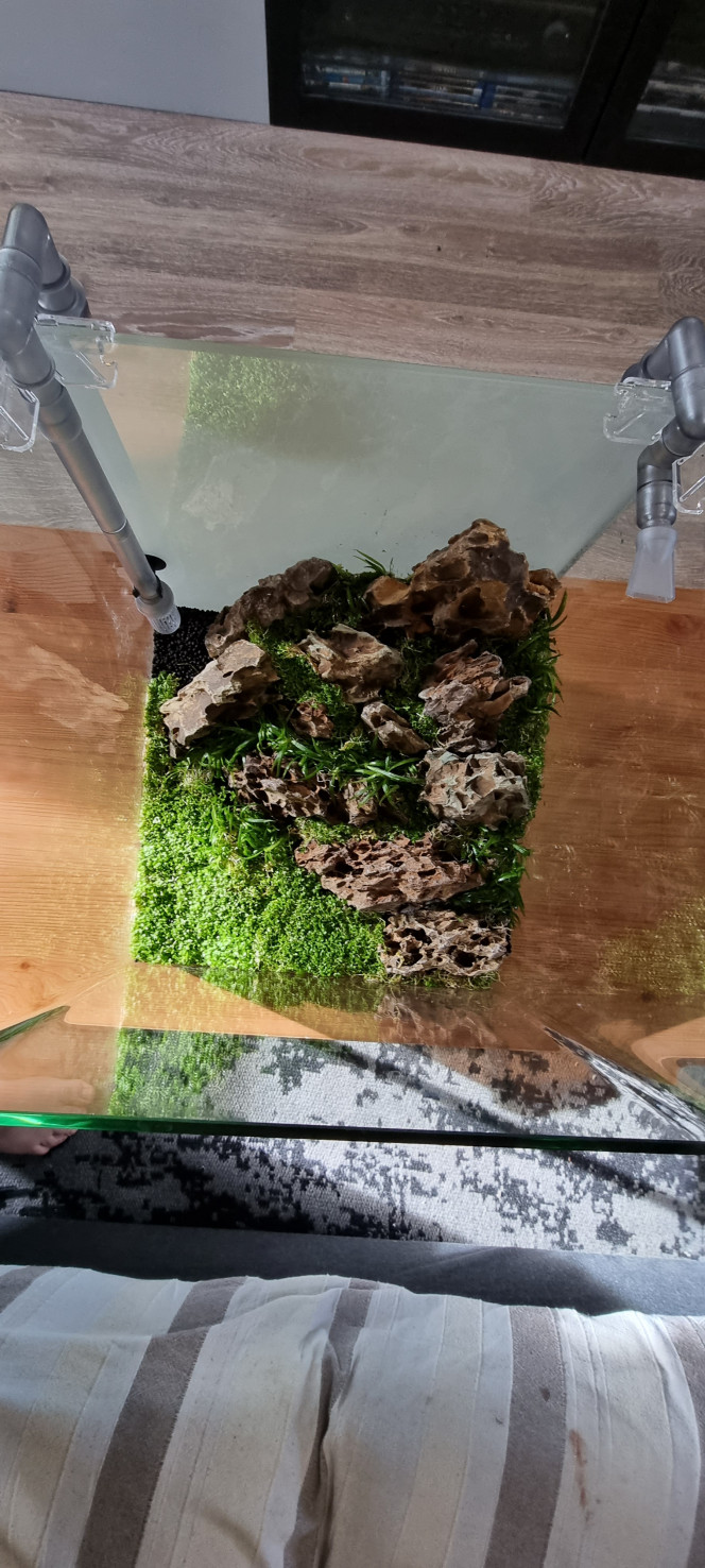 Hardscape 30l Voilà petit montage d'un aquarium Dennerle 30 l constitué de pierre du dragon et de sol technique avec un renfort bactérien avec de la pouzzolane en dessous des pierres avec un assemblage colle forte et filtre à cigarette et tampon à démaquiller