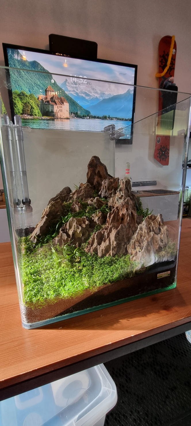 Hardscape 30l Voilà petit montage d'un aquarium Dennerle 30 l constitué de pierre du dragon et de sol technique avec un renfort bactérien avec de la pouzzolane en dessous des pierres avec un assemblage colle forte et filtre à cigarette et tampon à démaquiller