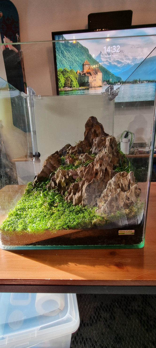 Hardscape 30l Voilà petit montage d'un aquarium Dennerle 30 l constitué de pierre du dragon et de sol technique avec un renfort bactérien avec de la pouzzolane en dessous des pierres avec un assemblage colle forte et filtre à cigarette et tampon à démaquiller