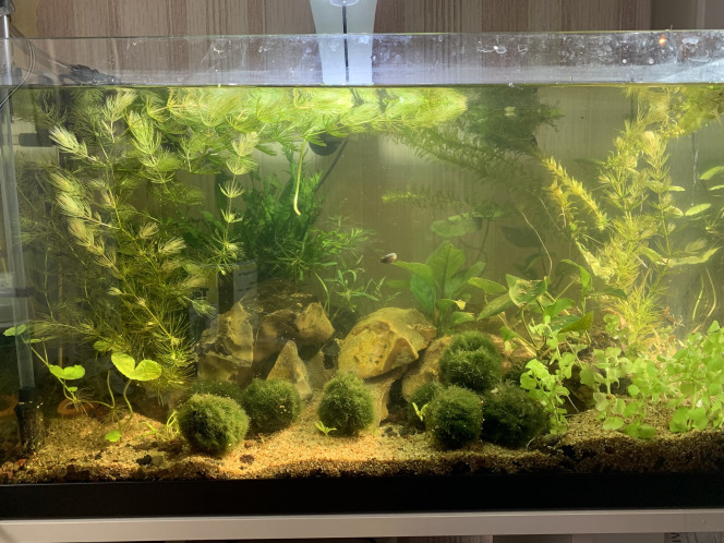 60 litres 14/02/22 