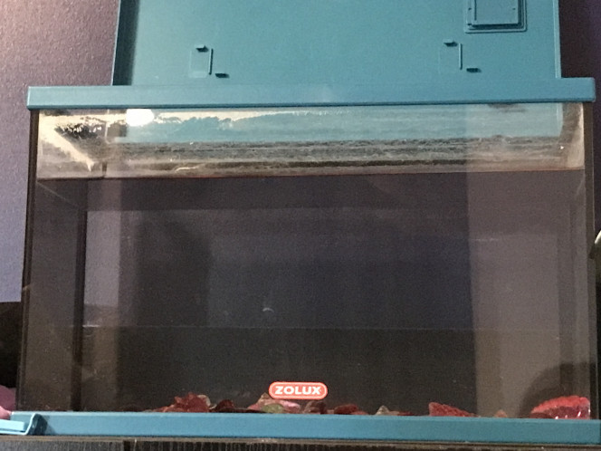 Nouvel aquarium Bonjours, j’aimerais commencer un aquarium fais à base de plante naturel, j’aimerais des aides et des conseils car je suis débutante dans ce sujet et je ne veux pas tuer les plantes ou causer des maladies aux poissons.
Aquarium ZOLUX 15 litres (il me semble) eau du robinet laisser 24h pour faire évaporer le calcaire.
J’aimerais aussi que vous m’aidiez à choisir quel type d’éclairage je dois prendre, quel type de filtration et de chauffage. 
Merci à vous ?
Je précise que l’eau présente dans cette qu’atrium sera vidée et changer et que l’aquarium sera nettoyer au vinaigre pour éliminer les trace de calcaire avant d’accueillir une eau propre ainsi que sa flore.