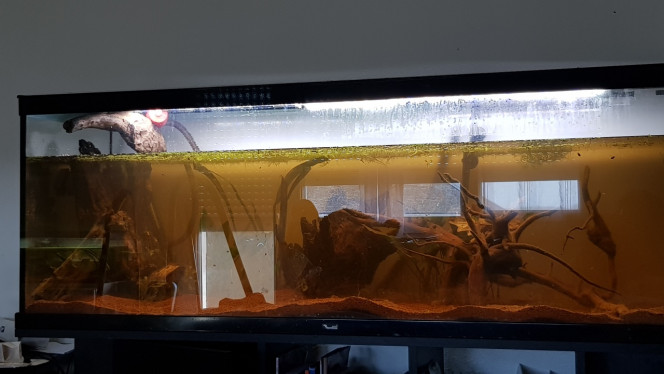 Aquarium 350 litres