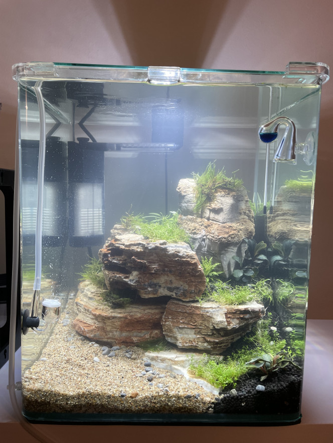Nouveau scape pour mon nano de 30l Changement de hardscape, ça tourne et c’est mis en route