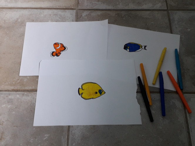 Photographie du post de Totopleco 