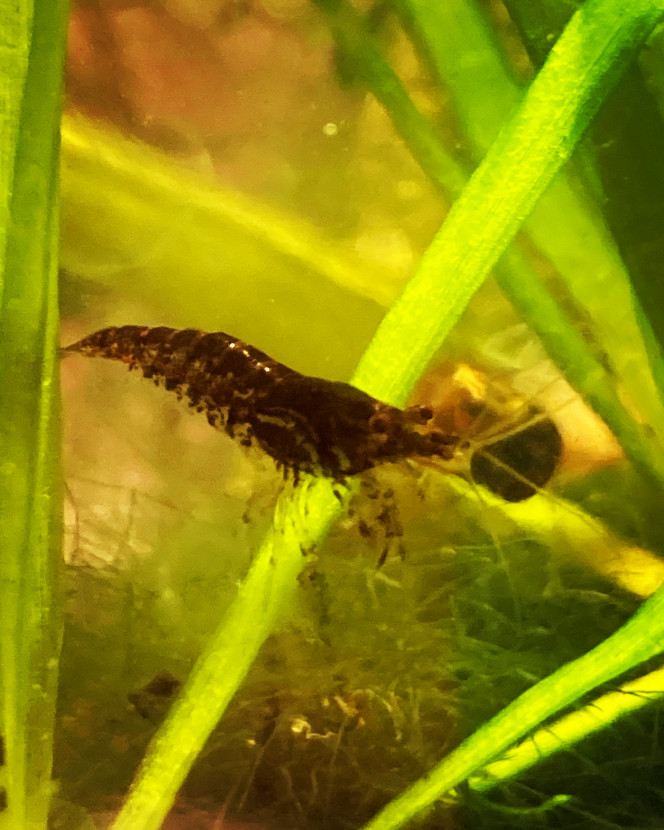 Photographie du post de Nalia 