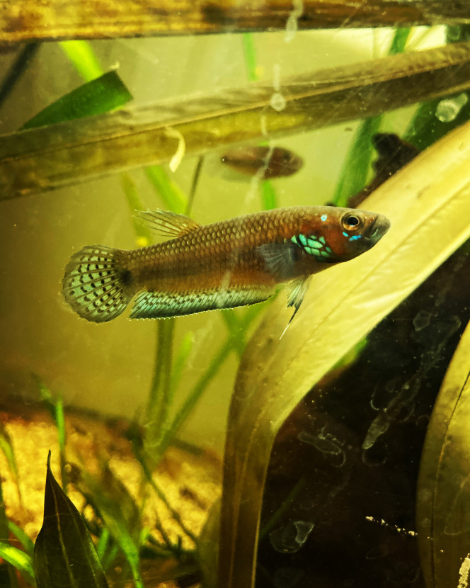 Photographie du post de Nalia 