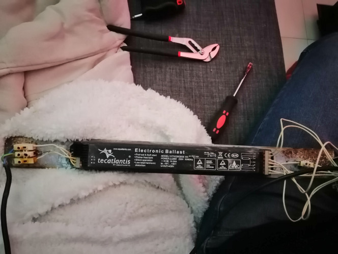 Remise en état de ma rampe d'éclairage Gros problème rampe éclairage fait disjoncter mon compteur. (Aquatlantis 80cm tube néon t5 590)
Bonjour la communauté,
J'ai besoin d'aide car novice dans le sujet.
J'essaie de remettre en service la rampe d'origine sur mon aquarium que j'ai acheter d'occasion.
C'est un Aquatlantis élégance ambiance 80 de 150L brut avec sa rampe d'éclairage aluminium 80cm 2 tubes néon T5 590 28w.
Je viens de mettre 2 tube neuf car absent à l'achat, mais voilà lorsque j'essai de l'allumer tout disjoncte chez moi.