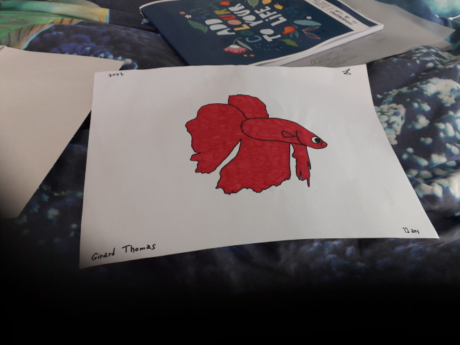 Photographie du post de Totopleco 