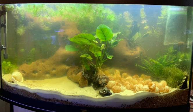 180 litres 2022 02 03 ça prend forme