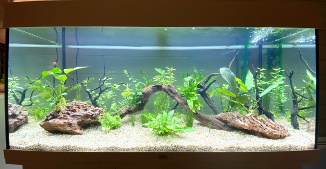 Début Démarrage avec première déco