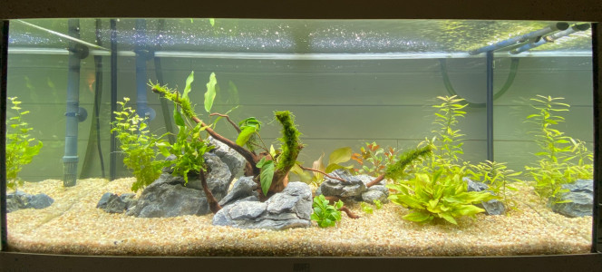 Nouvelle déco 