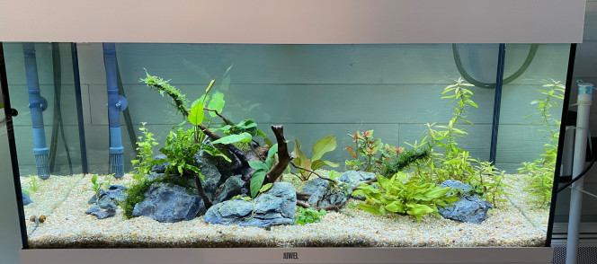 Nouvelle déco 