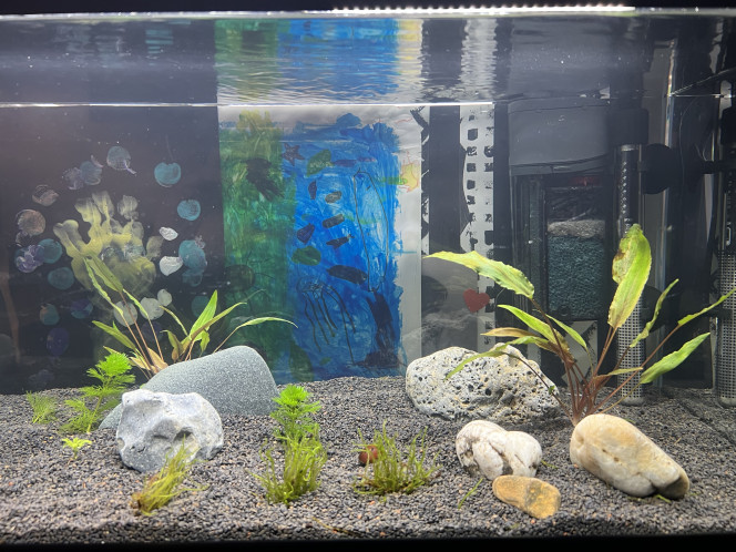 Sam 50L En démarrage