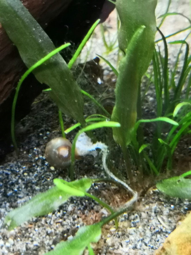 Photographie du post de Delflabelette 