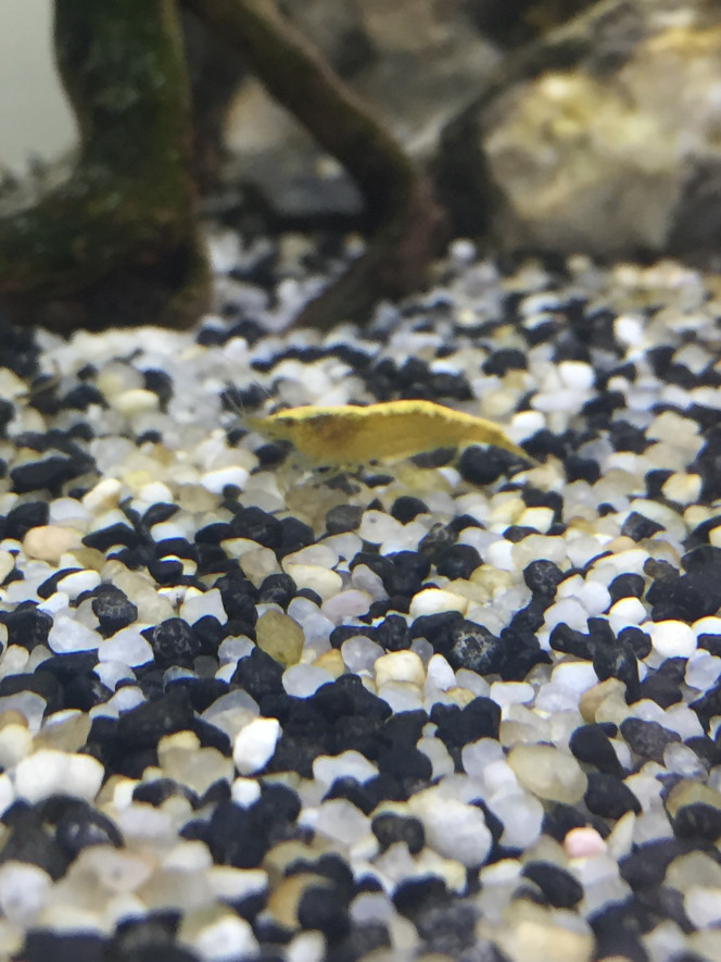 Photographie du post de Poisson123 