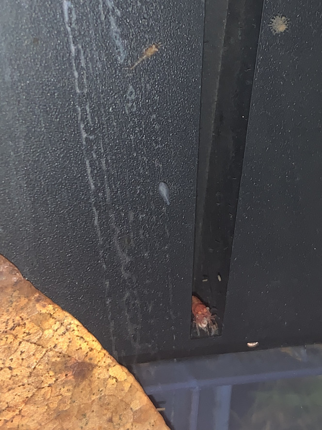 Photographie du post de Malonefsq 