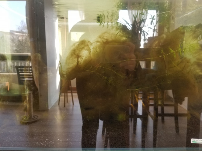 Photographie du post de Baby-Yoda 