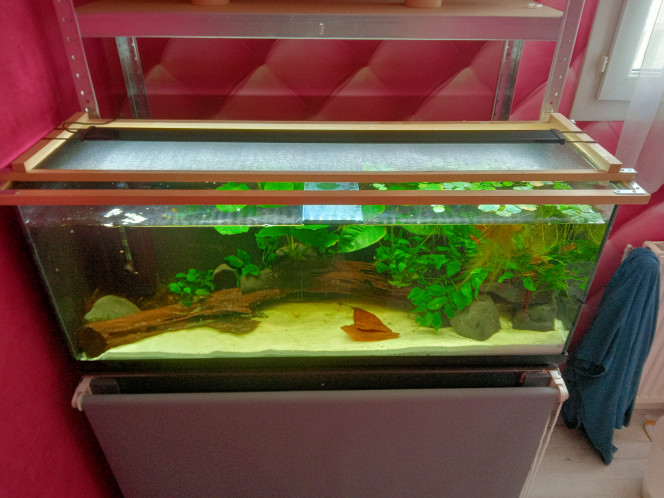 Photographie du post de kali29 