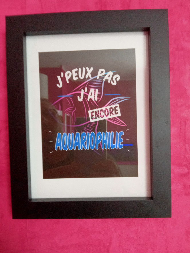 Photographie du post de kali29 