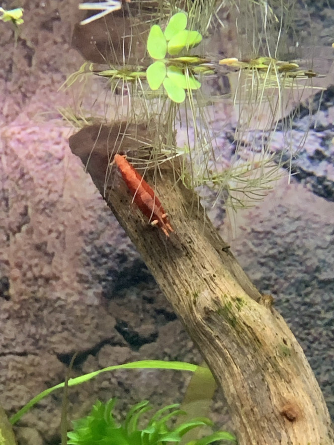 Photographie du post de Alishouuuu 