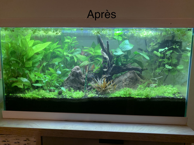 Photographie du post de Alex69 