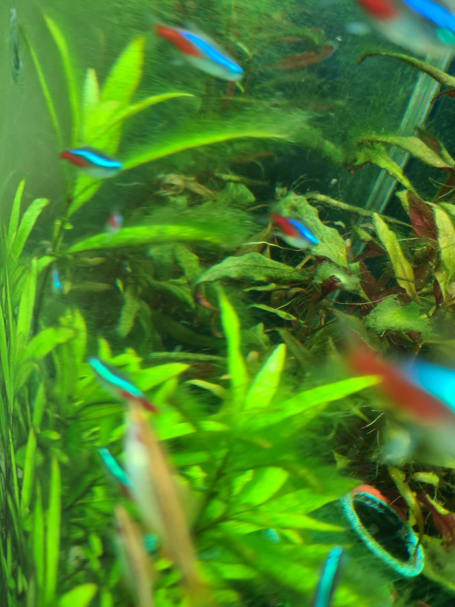 TUTO FISHROOM : éclairage led pas cher (moins de 1 euro par