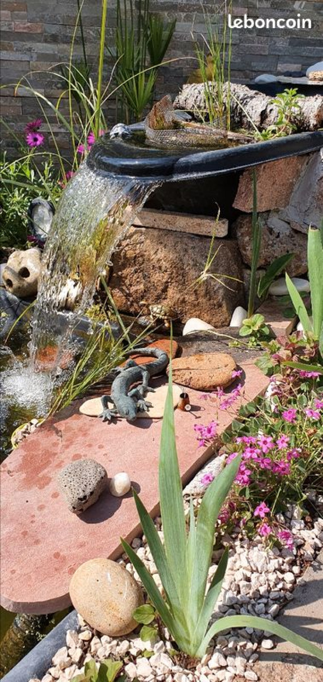 Photographie du post de Aquagarden83 