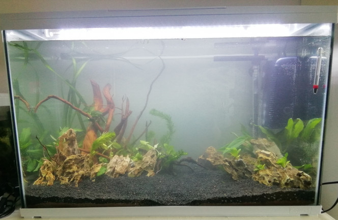 Photographie du post de Clairehamsterdesenfers 