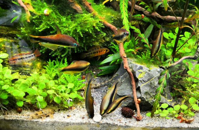 Columbia C'est l'heure de la récré !