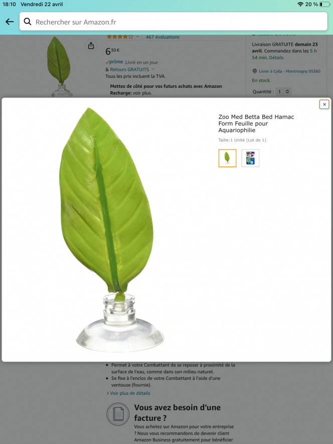 Photographie du post de Chacylia 