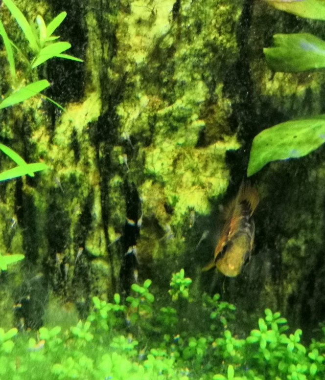 Columbia Oui je sais @Fljagd... Ma photo est crahouette... Mais NAGE LIBRE !!!