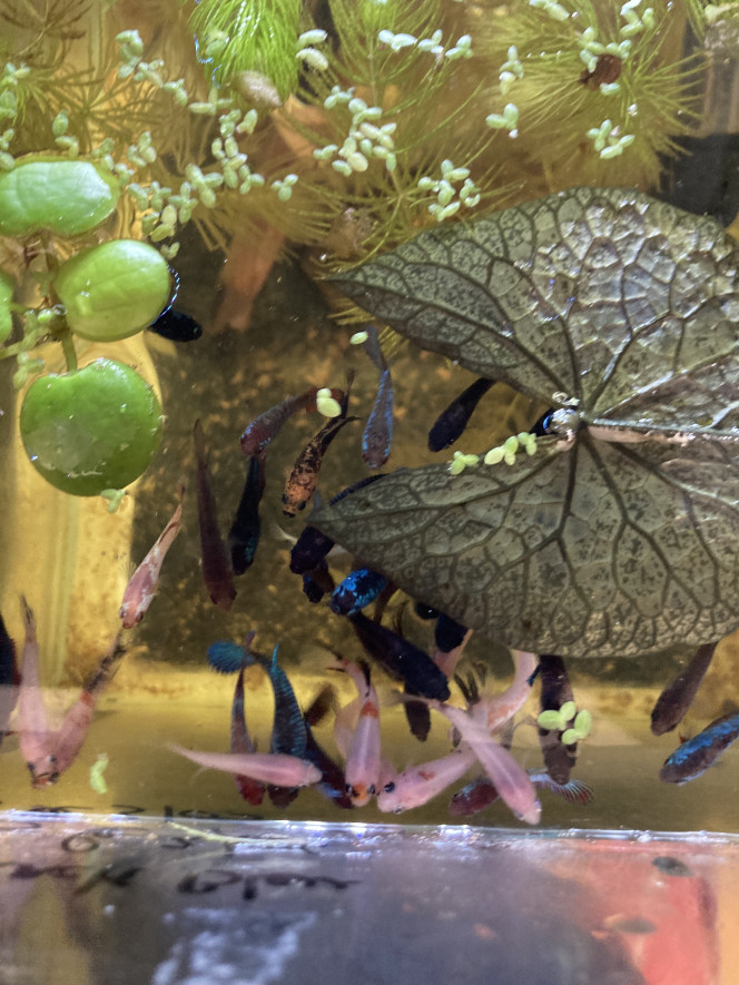 Photographie du post de Nalia 