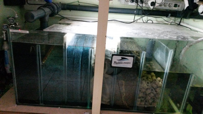 Photographie du post de Pleco11 