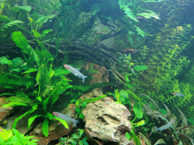 Photographie du post de Aurel69 