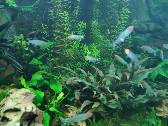 Photographie du post de Aurel69 