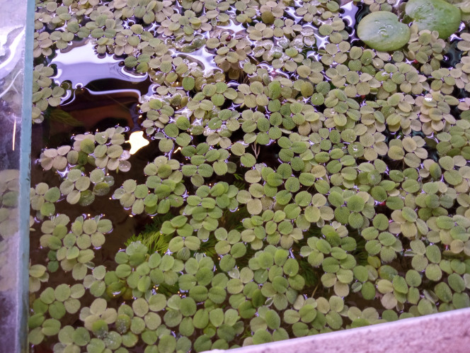 Photographie du post de Artemis 