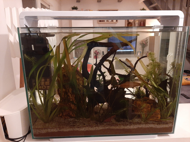 Superfish home 85 En mode sans la coque blanche.