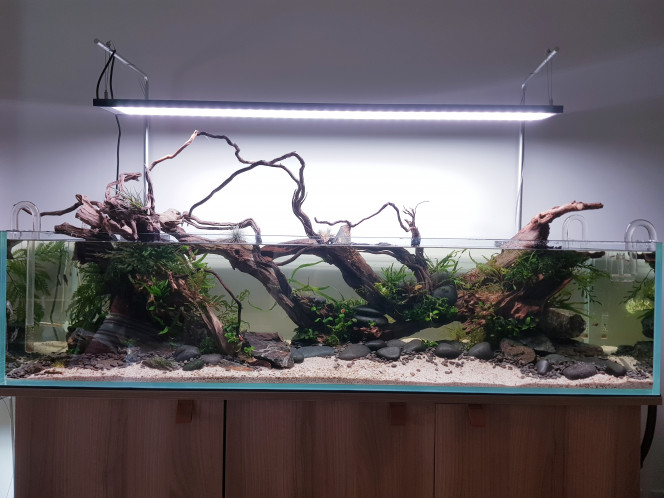 Rescape 