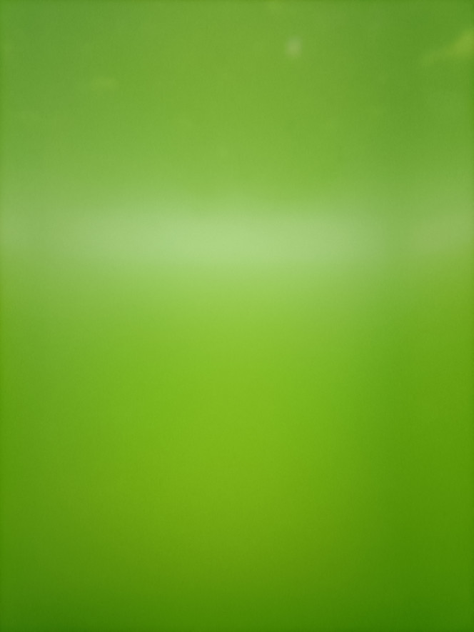 Eau verte pour Daphné 