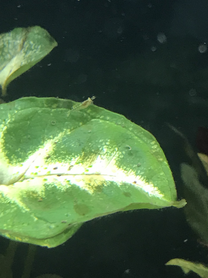 Photographie du post de MorganeABT 