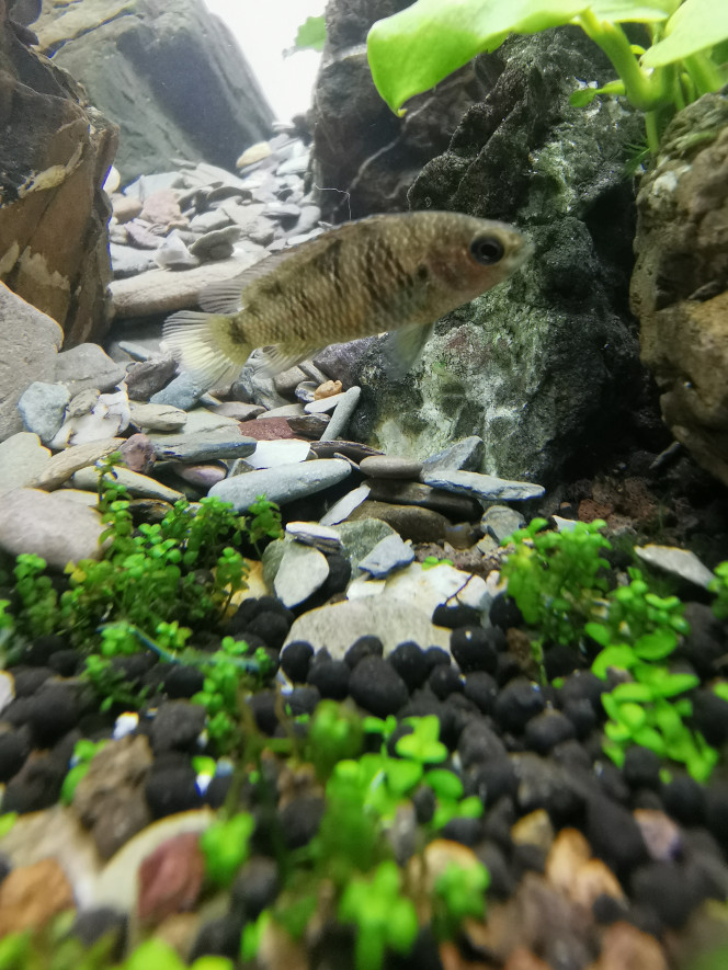 Photographie du post de Damp92 