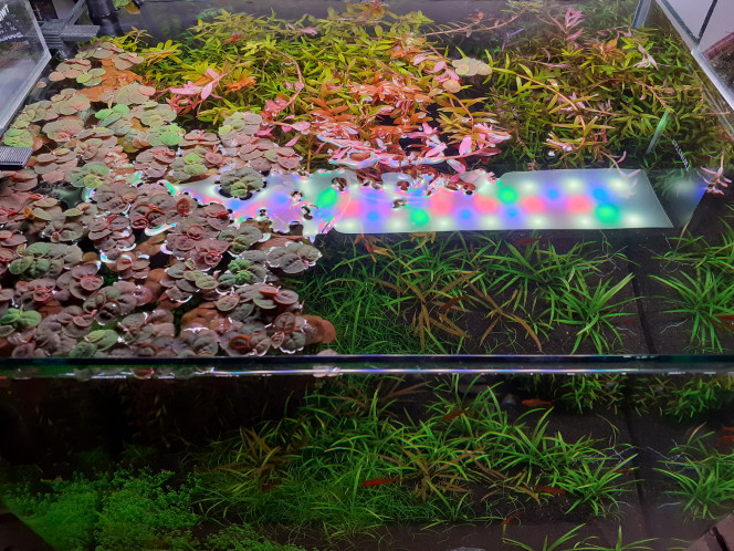 Photographie du post de Equi 