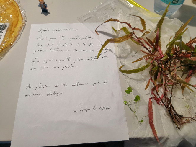 Photographie du post de Delflabelette 