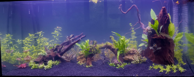 Premier décor 