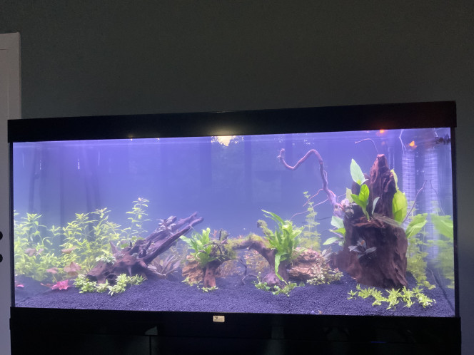 Premier décor 