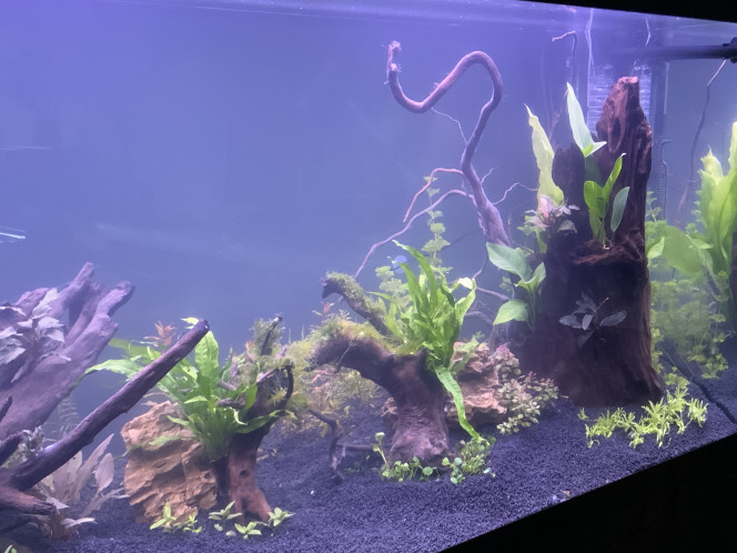 Premier décor 