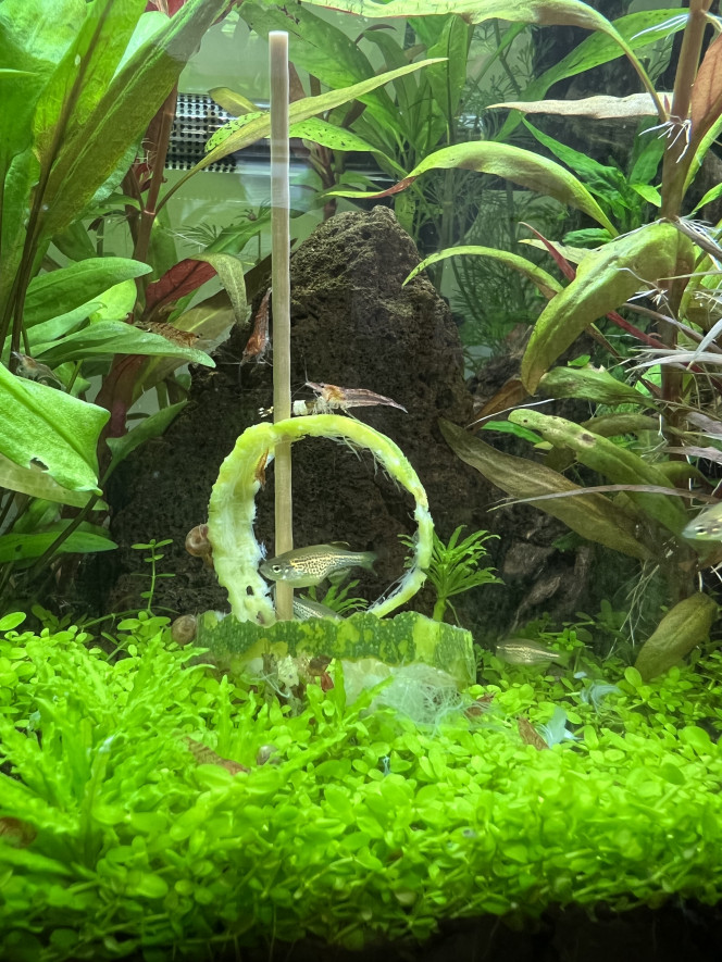 Photographie du post de Alex69 