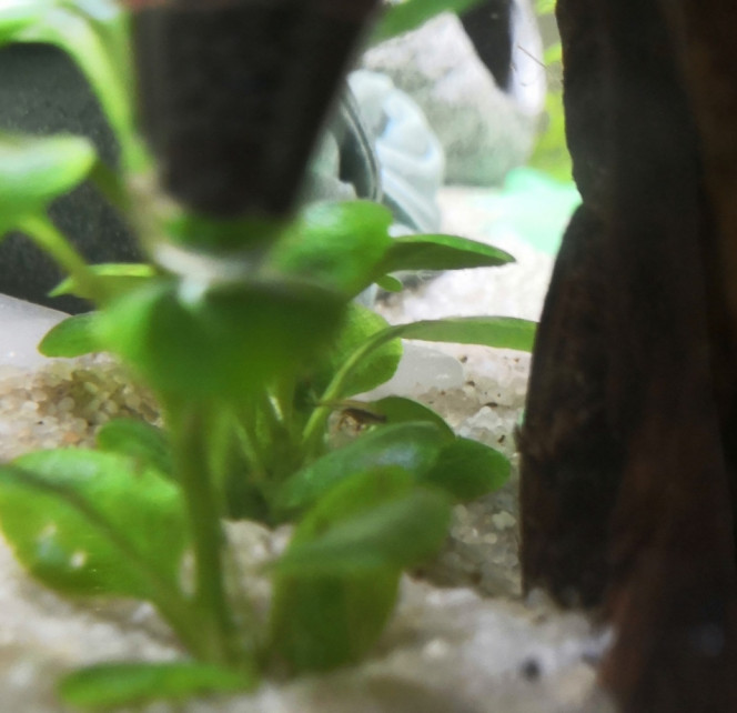 Photographie du post de Delflabelette 