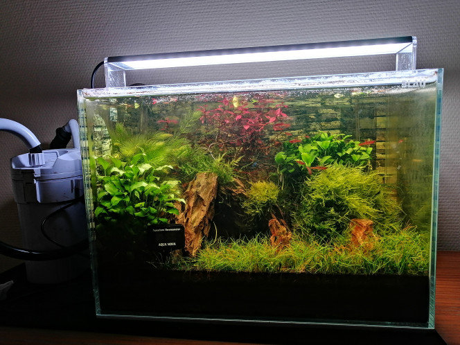Photographie du post de CHAQUA 